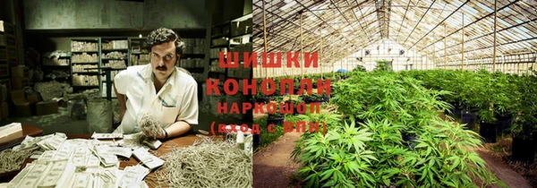 ПСИЛОЦИБИНОВЫЕ ГРИБЫ Абаза