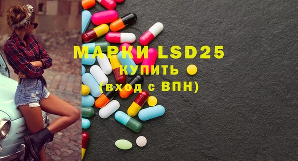 ПСИЛОЦИБИНОВЫЕ ГРИБЫ Абаза