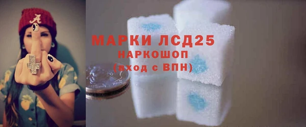ПСИЛОЦИБИНОВЫЕ ГРИБЫ Абаза