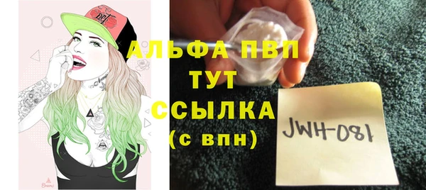 ПСИЛОЦИБИНОВЫЕ ГРИБЫ Абаза