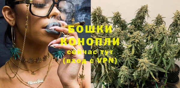 ПСИЛОЦИБИНОВЫЕ ГРИБЫ Абаза