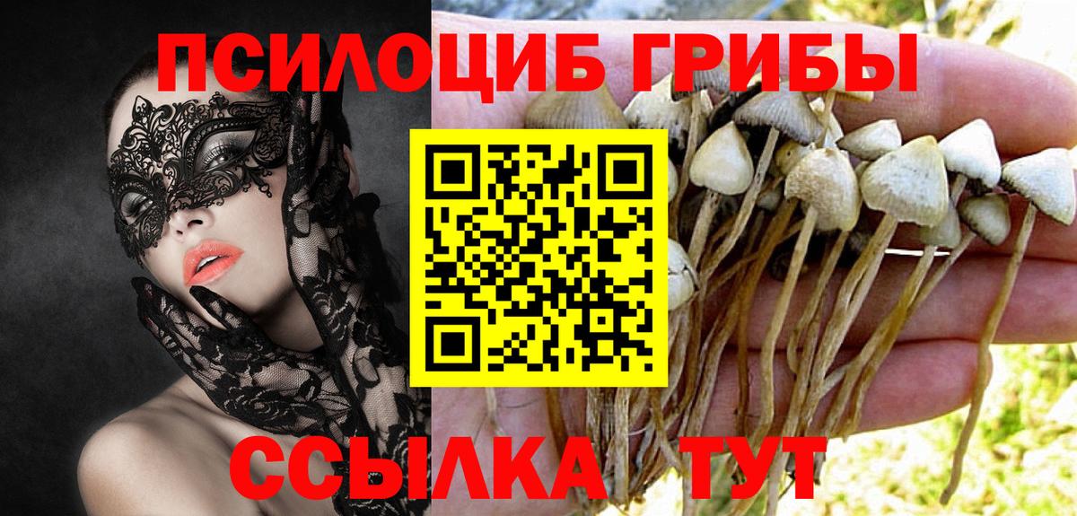 Галлюциногенные грибы GOLDEN TEACHER Сургут