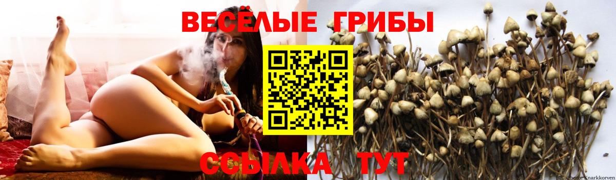 Псилоцибиновые грибы ЛСД  Вход с VPN  Сургут 